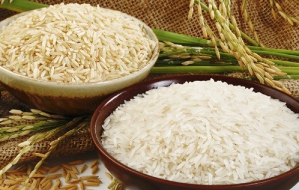 Exporting rice to Africa : Potentials and risks